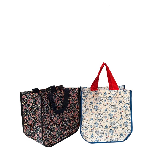 E-Co-Friendly-Bag-Stil nicht gewebtes Hanbag mit individuellem gedrucktem Bag